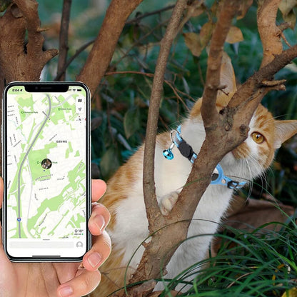 Anti-Lost Cat Collar