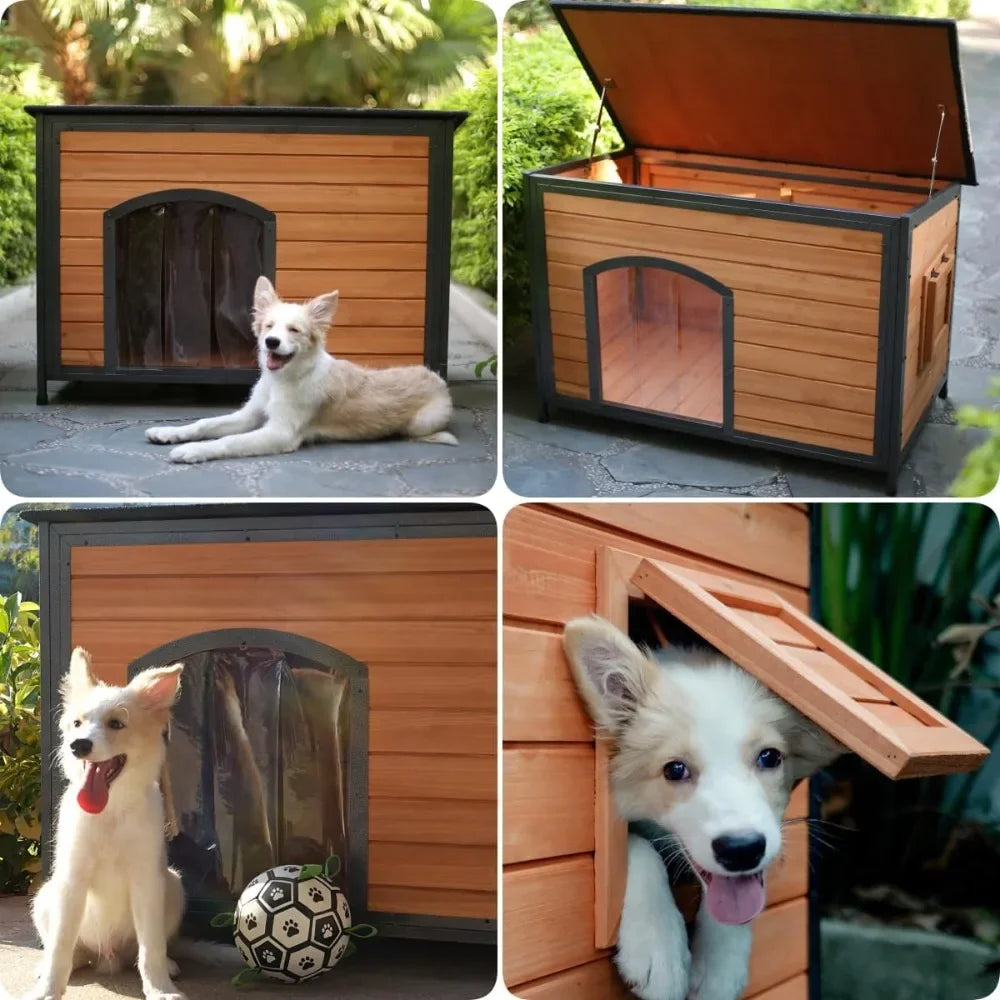 Weatherproof Dog House