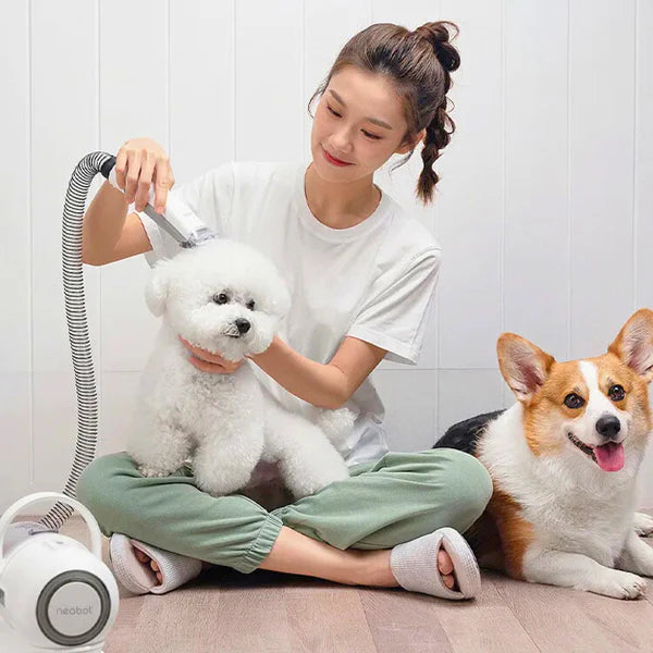 Dog Grooming Vacuum Kit